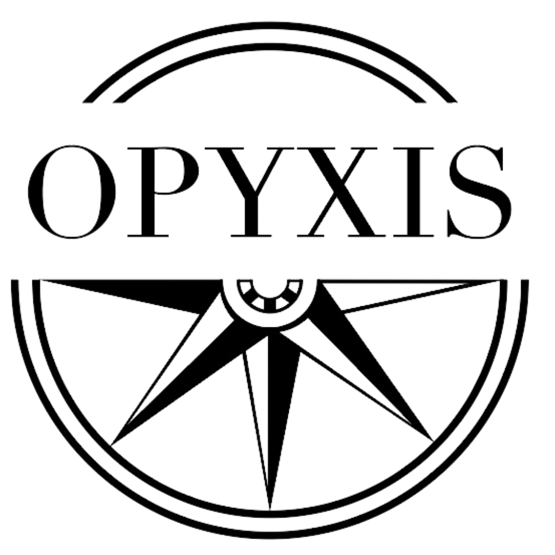 Opyxis bilan de compétences